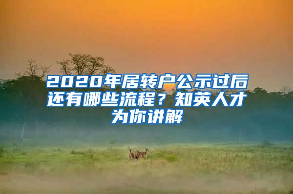 2020年居转户公示过后还有哪些流程？知英人才为你讲解