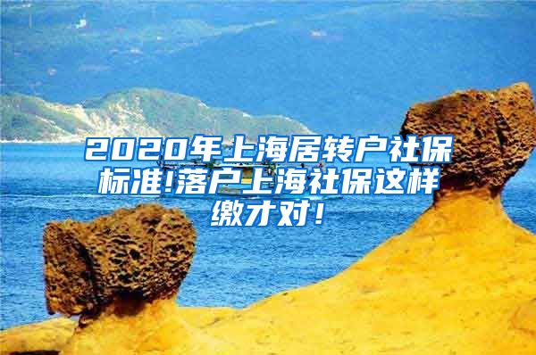 2020年上海居转户社保标准!落户上海社保这样缴才对！