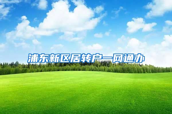 浦东新区居转户一网通办