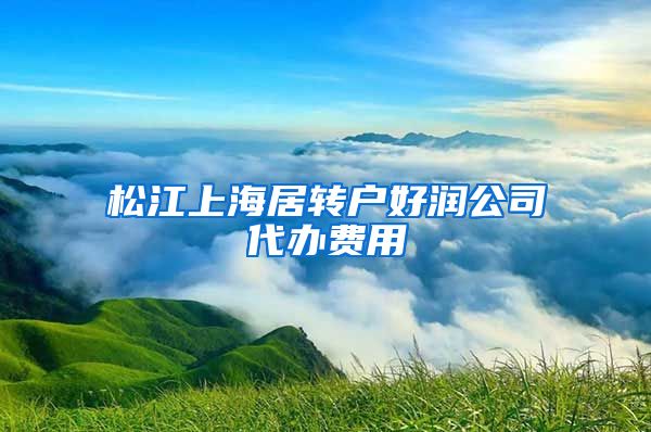 松江上海居转户好润公司代办费用