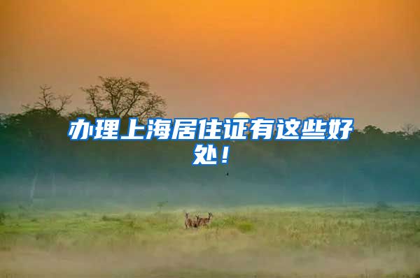 办理上海居住证有这些好处！