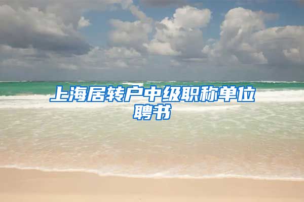 上海居转户中级职称单位聘书