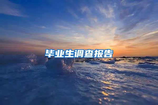 毕业生调查报告