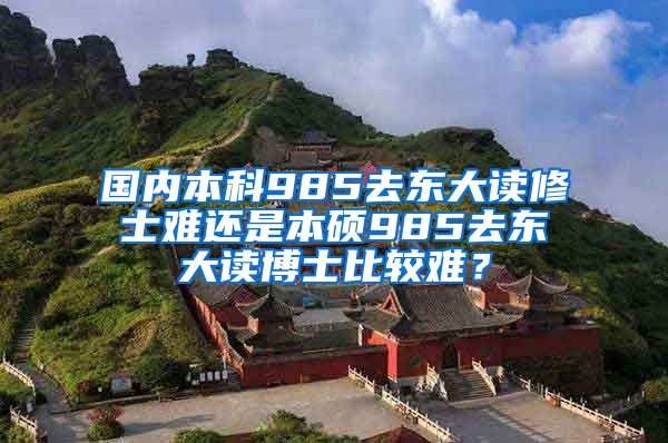 国内本科985去东大读修士难还是本硕985去东大读博士比较难？