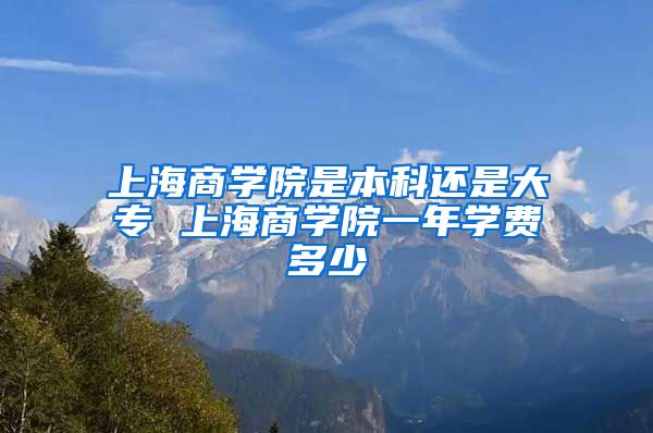 上海商学院是本科还是大专 上海商学院一年学费多少