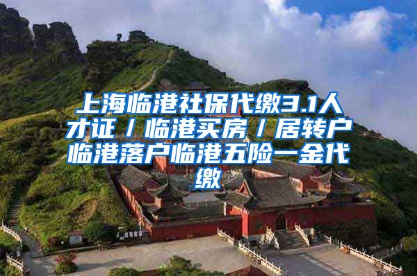 上海临港社保代缴3.1人才证／临港买房／居转户临港落户临港五险一金代缴