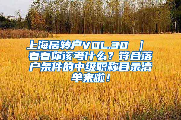 上海居转户VOL.30 ｜ 看看你该考什么？符合落户条件的中级职称目录清单来啦！