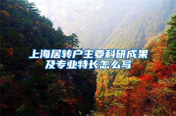 上海居转户主要科研成果及专业特长怎么写
