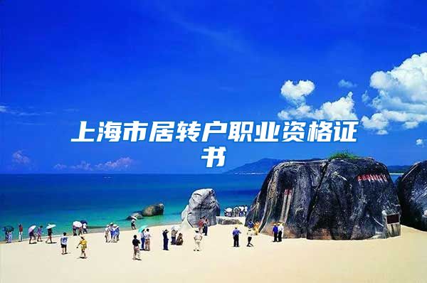 上海市居转户职业资格证书