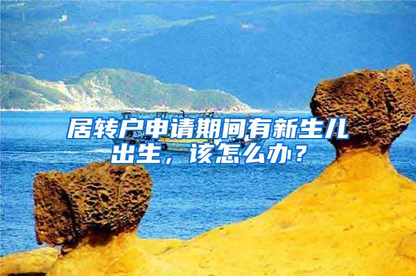 居转户申请期间有新生儿出生，该怎么办？