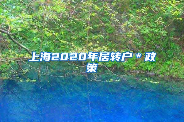 上海2020年居转户＊政策