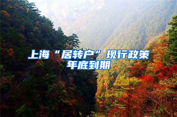 上海“居转户”现行政策年底到期