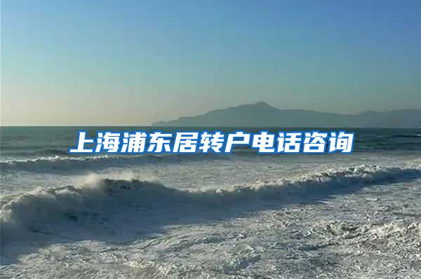 上海浦东居转户电话咨询