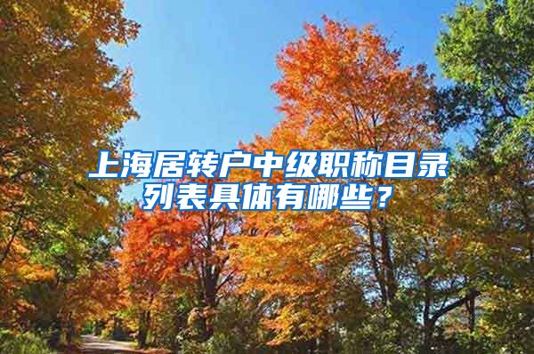 上海居转户中级职称目录列表具体有哪些？