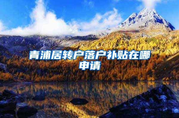 青浦居转户落户补贴在哪申请