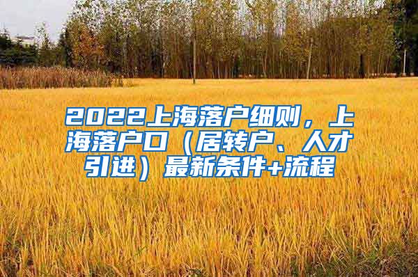 2022上海落户细则，上海落户口（居转户、人才引进）最新条件+流程