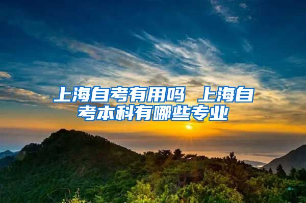 上海自考有用吗 上海自考本科有哪些专业