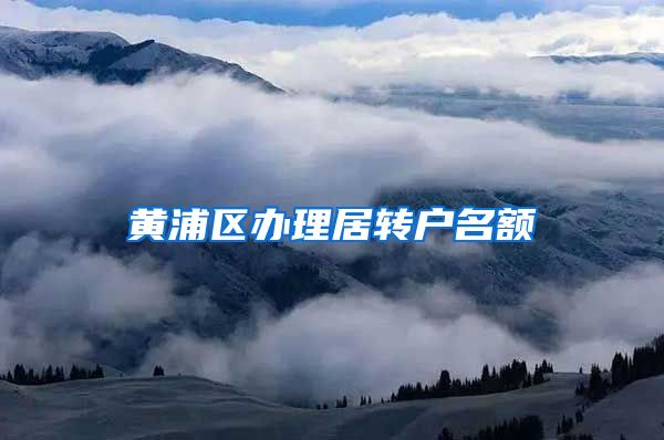 黄浦区办理居转户名额