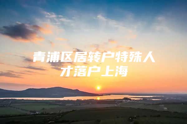 青浦区居转户特殊人才落户上海