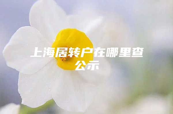 上海居转户在哪里查公示
