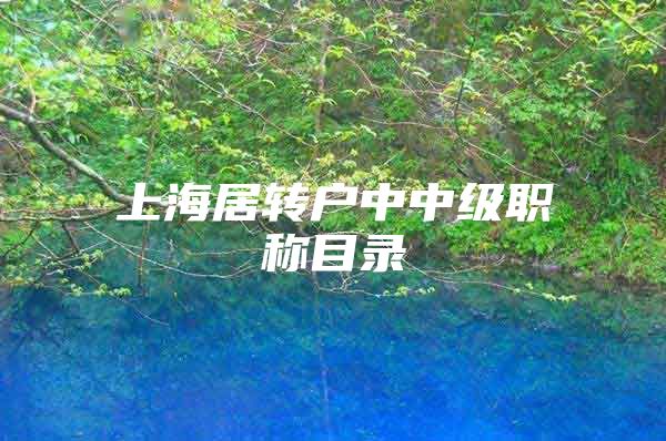 上海居转户中中级职称目录