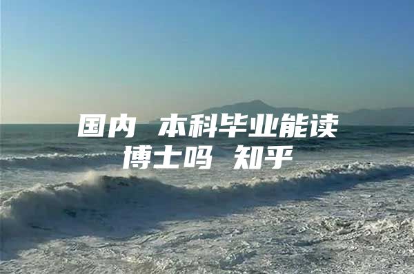 国内 本科毕业能读博士吗 知乎
