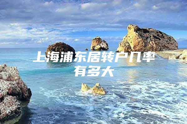 上海浦东居转户几率有多大