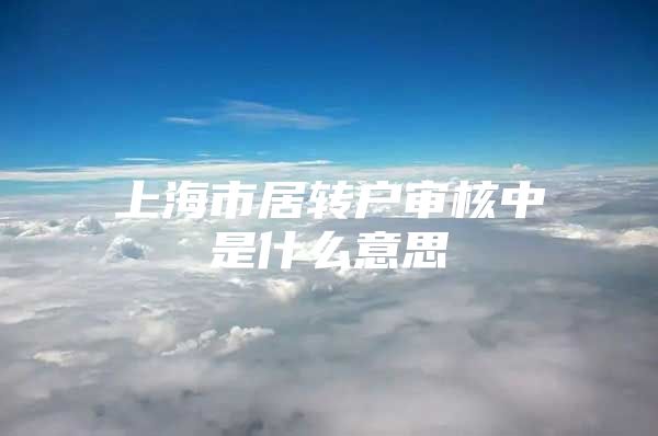 上海市居转户审核中是什么意思