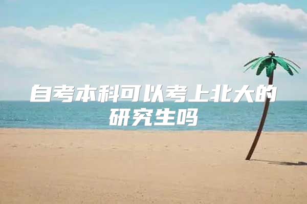 自考本科可以考上北大的研究生吗