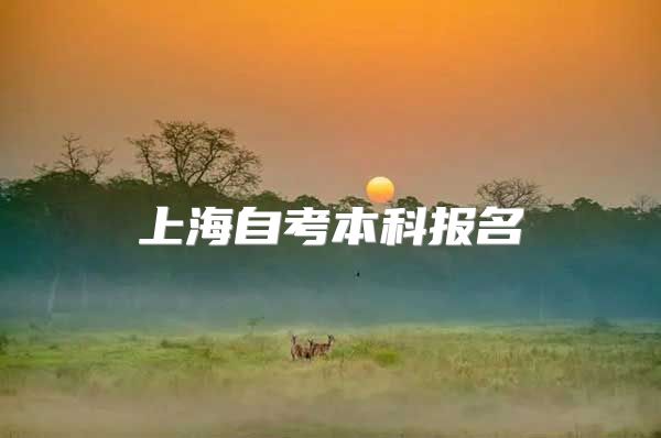 上海自考本科报名