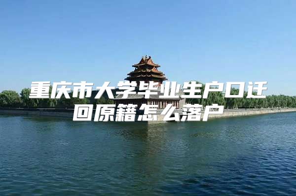 重庆市大学毕业生户口迁回原籍怎么落户