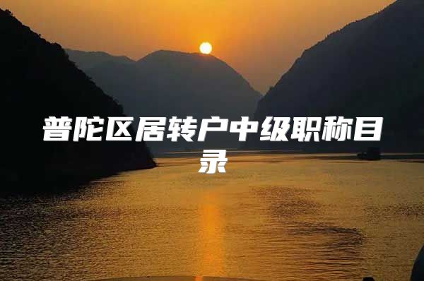 普陀区居转户中级职称目录