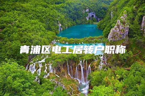青浦区电工居转户职称