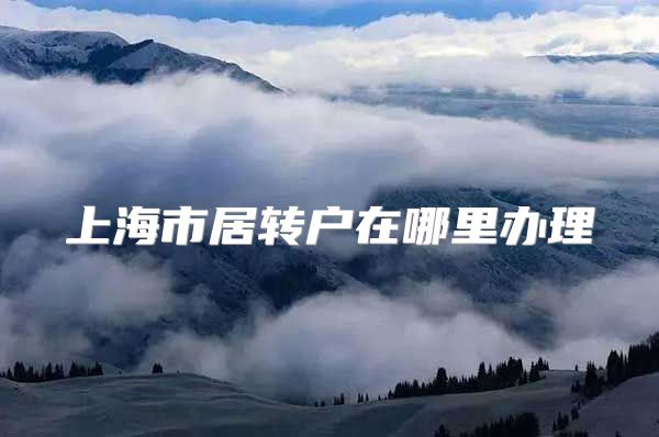 上海市居转户在哪里办理