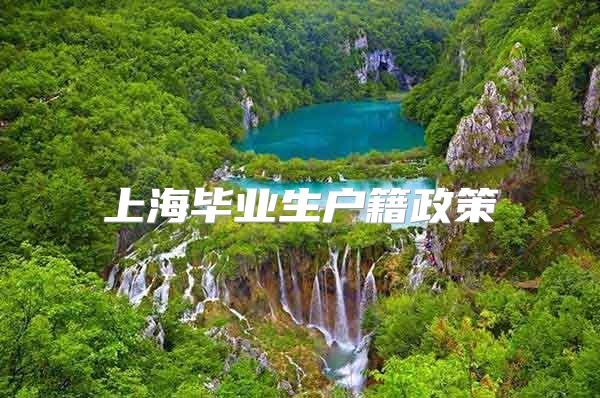 上海毕业生户籍政策