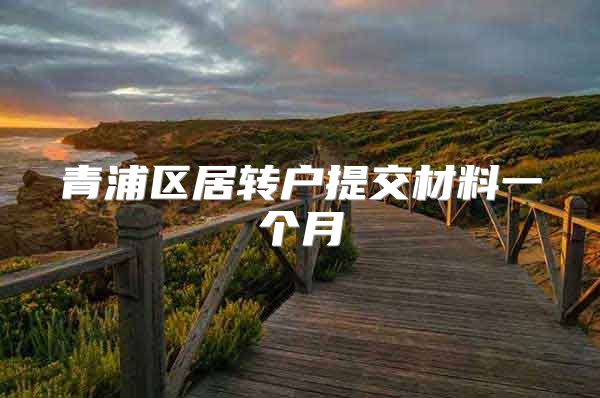 青浦区居转户提交材料一个月