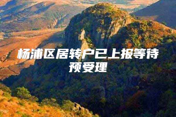 杨浦区居转户已上报等待预受理