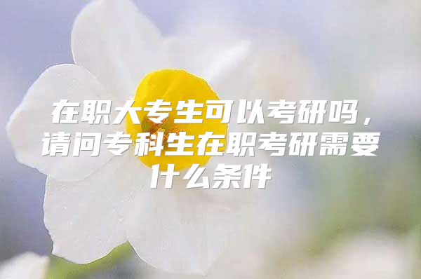 在职大专生可以考研吗，请问专科生在职考研需要什么条件
