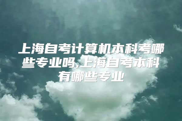 上海自考计算机本科考哪些专业吗,上海自考本科有哪些专业