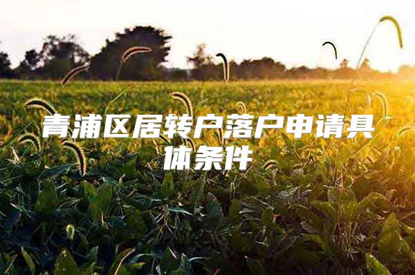 青浦区居转户落户申请具体条件