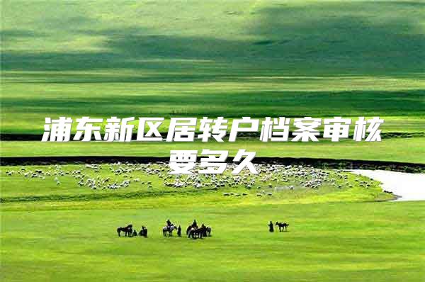 浦东新区居转户档案审核要多久