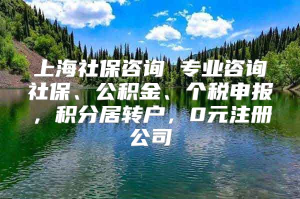上海社保咨询 专业咨询社保、公积金、个税申报，积分居转户，0元注册公司