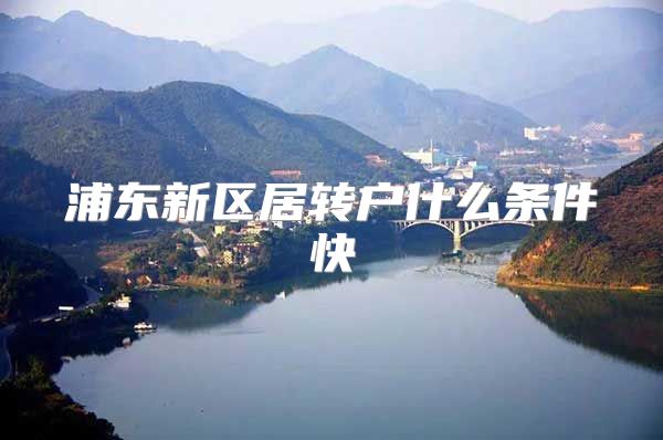 浦东新区居转户什么条件快