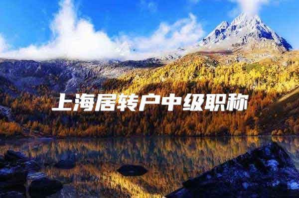上海居转户中级职称