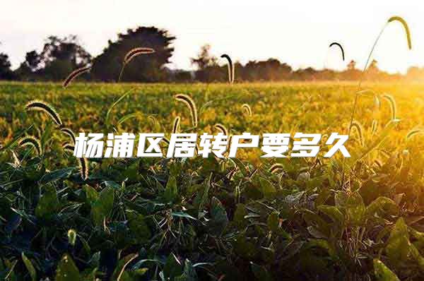 杨浦区居转户要多久