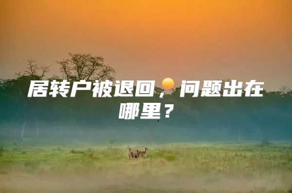 居转户被退回，问题出在哪里？