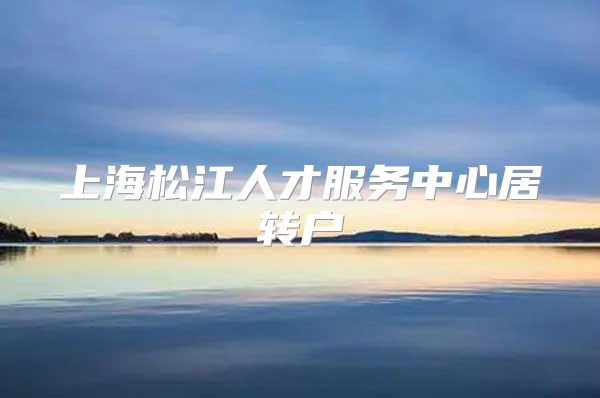 上海松江人才服务中心居转户