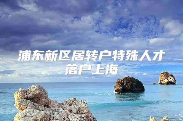 浦东新区居转户特殊人才落户上海