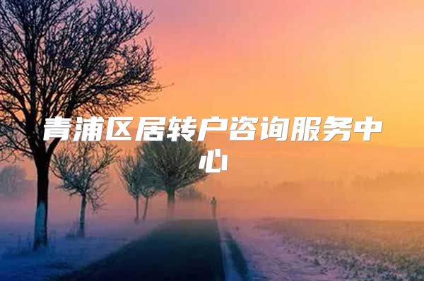 青浦区居转户咨询服务中心